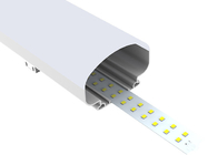 Isolamento termico del tri della prova di DALI Dimming LED PC della luce IK10 di ottimo rendimento