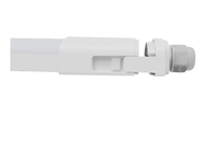 DUALRAYS 600mm 20 luce di watt IP65 LED Triproof con la sospensione del di superficie montato