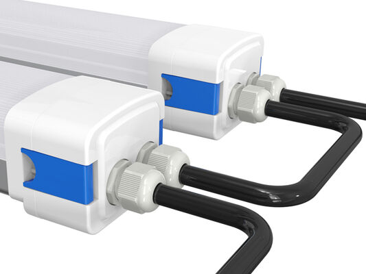 Luce a LED DUALRAYS D5 a prova di umidità con alimentazione commutabile DIP/3CCT 160LPW di efficienza