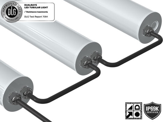 Luce tubolare a LED da 1,5 m 60W IP69K IK10 TB7 per fattoria con collegamento passante a 3 o 5 fili