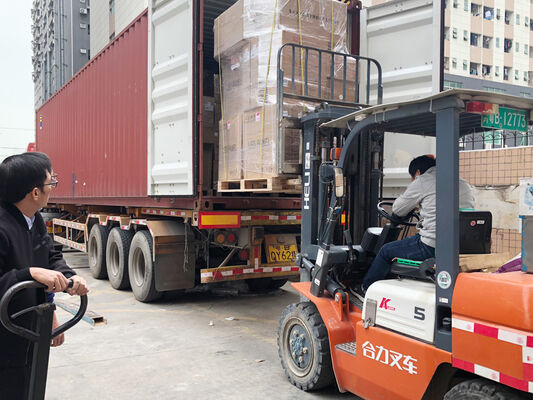 Lampada LED D4 a prova di umidità 160LPW con Ready 4 Emergency 4W@3HRS Plug and Play Facile da Manutenere​ Adatta per Garage e Illuminazione