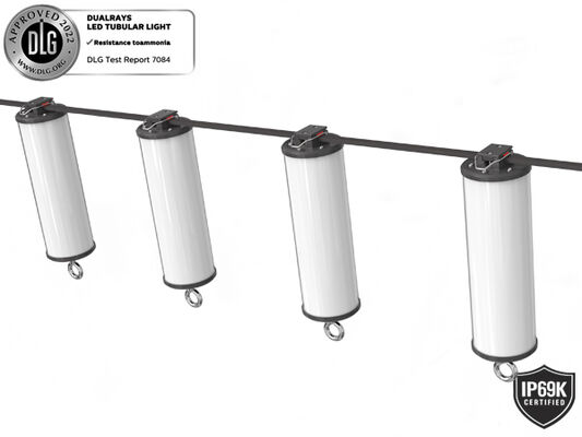 Serie luce all'aperto e dell'interno 160LMW 5ft di 50W di Dualrays D2 tri della prova LED Batten del LED lungamente