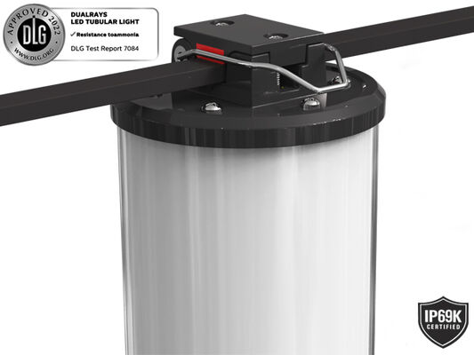 Serie luce all'aperto e dell'interno 160LMW 5ft di 50W di Dualrays D2 tri della prova LED Batten del LED lungamente