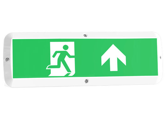 Lampada da esterno a LED da 8W con funzione di emergenza e sensore di movimento IP65