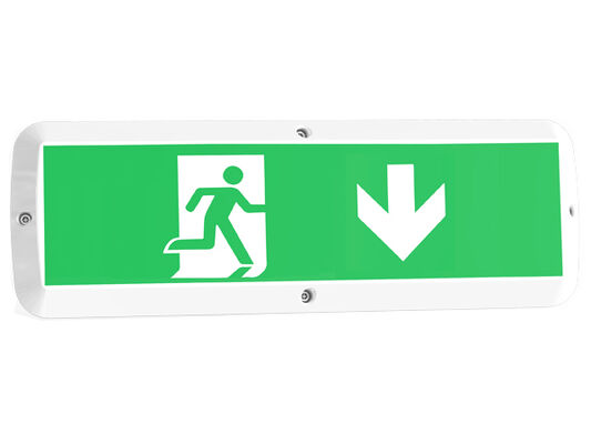 Lampada da esterno a LED da 8W con funzione di emergenza e sensore di movimento IP65