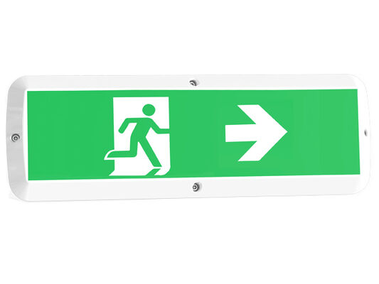 Lampada da esterno a LED da 8W con funzione di emergenza e sensore di movimento IP65