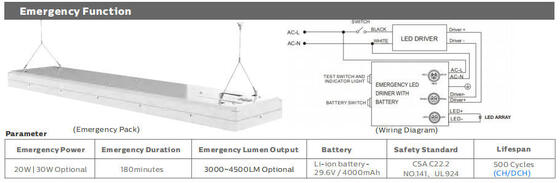 L'alto sale delle luci di inondazione dell'albero LED di Ip66 1500W appanna Resitant SAA, il CE ROHS SMD5050 di RCM