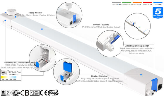 Lampada a prova di umidità D4 LED 160LPW con Ready 4 Emergenza 4W@3HRS con alimentazione DIP switch e CCT, significa 1SKU=48 SKU