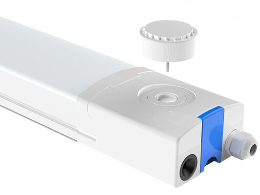 Lampada a prova di umidità D4 LED 160LPW con presa Ready 4 Emergency 4W@3HRS e 3*1,5mm2 | 5*1,5 mm2 | 3*2,5 mm2 | Cavi 5*2.5mm2 passanti per opzione