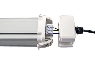Dualrays D5 50W 5 ft di tri della prova principale Epistar della luce IP66 IK10 LED efficienza protetta contro le esplosioni delle luci 160lmw