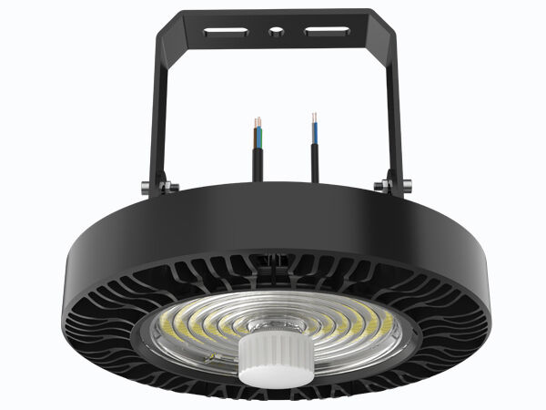 600W LED i proiettori di campo sportivo progettati per lo sport che accende la lente 1-10V PWM DALI Zigbee Control di Professioanl