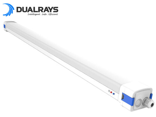 Luce LED D5 da 5 piedi/62 W a prova di umidità con alimentazione commutabile tramite DIP/Efficienza 3 CCT 160 LPW 5 anni di garanzia