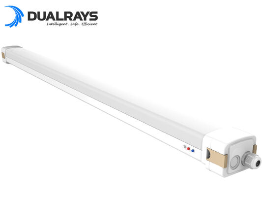 Tri luce IP65 della prova di emergenza LED nessun metalli pesanti tossici 5 anni di garanzia